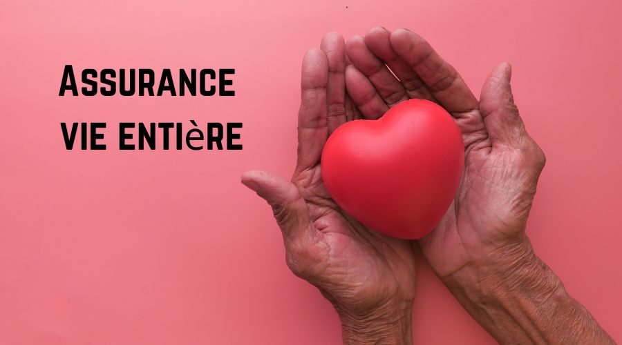 Mains qui tiennent un coeur avec titre Assurance vie entière